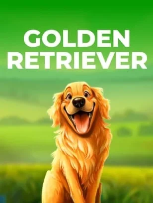 Golden Retriever slot from Pragmatic Play in new releases